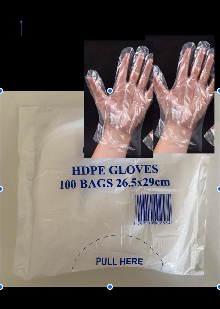 DISPOSABLE DELI GLOVES 100'S
